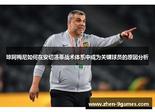 琼阿梅尼如何在安切洛蒂战术体系中成为关键球员的原因分析